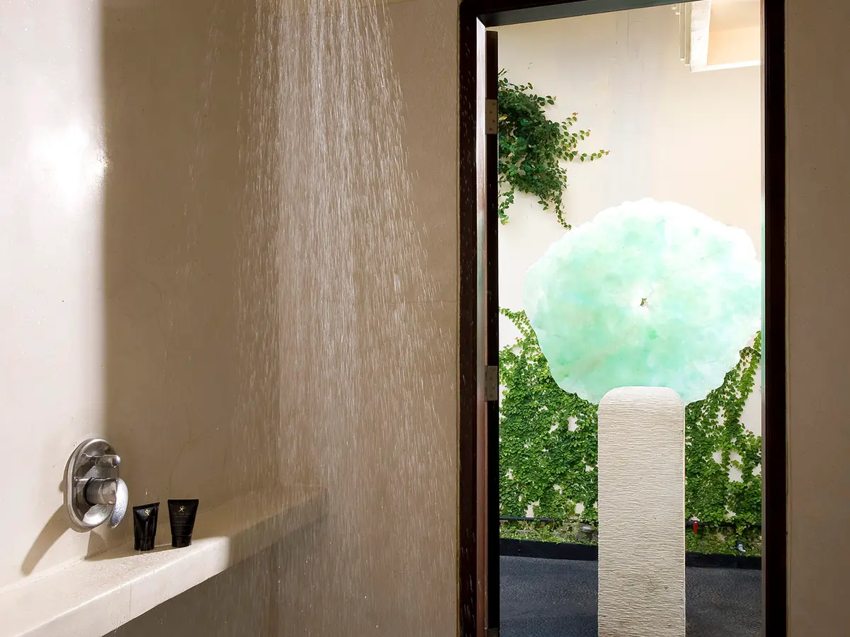 Villa Ylang Ylang - Western master shower
