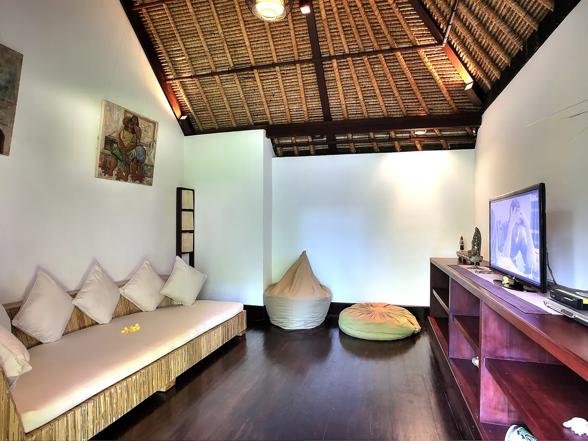 Villa Alamanda - TV room interior