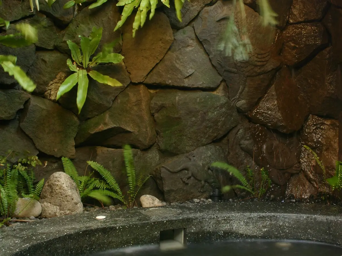 Villa Cemara - Outdoor bath