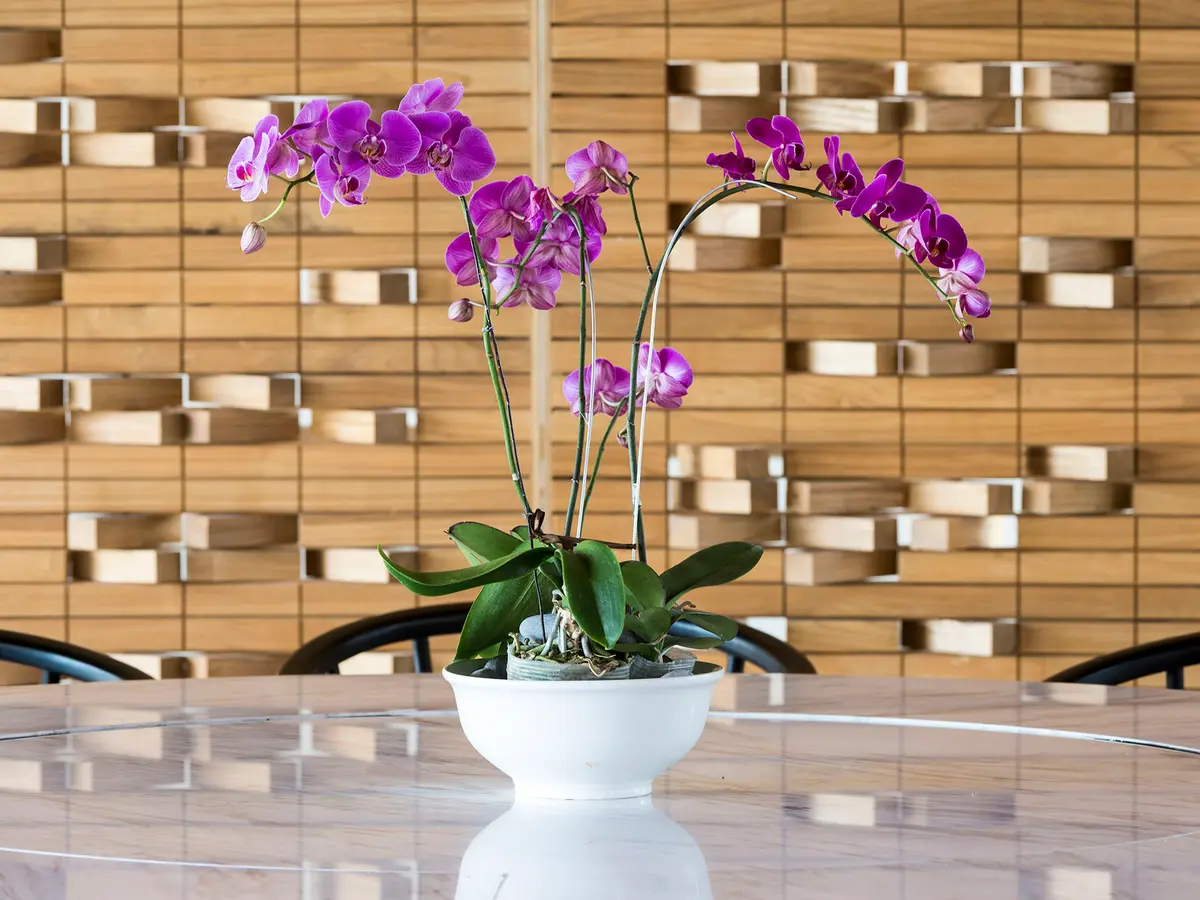 Villa Hamsa - Dining style