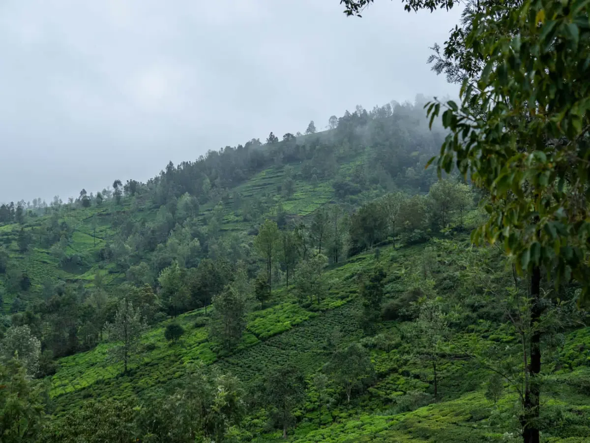 Views from the Villa | Villa Aikyam