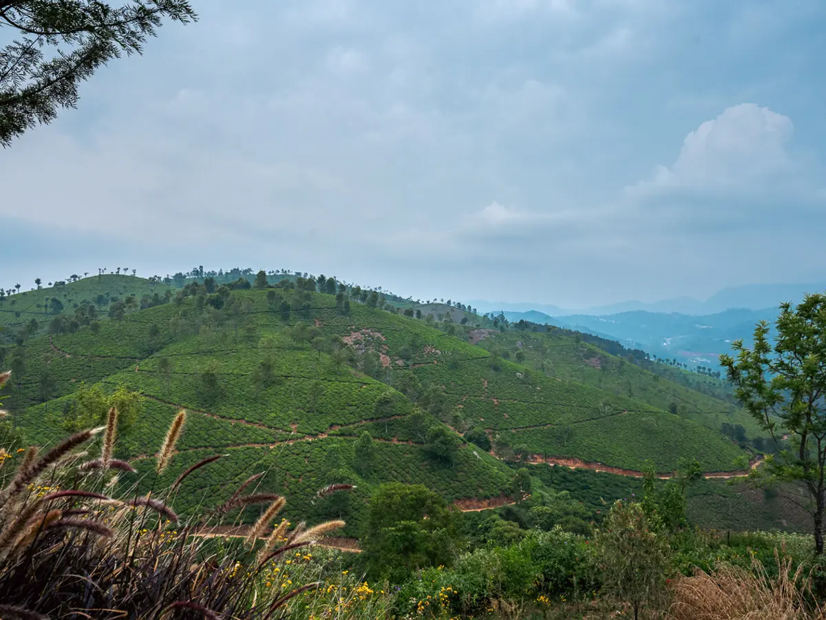 Best View Villa | Amani Villas 9A, Coonoor