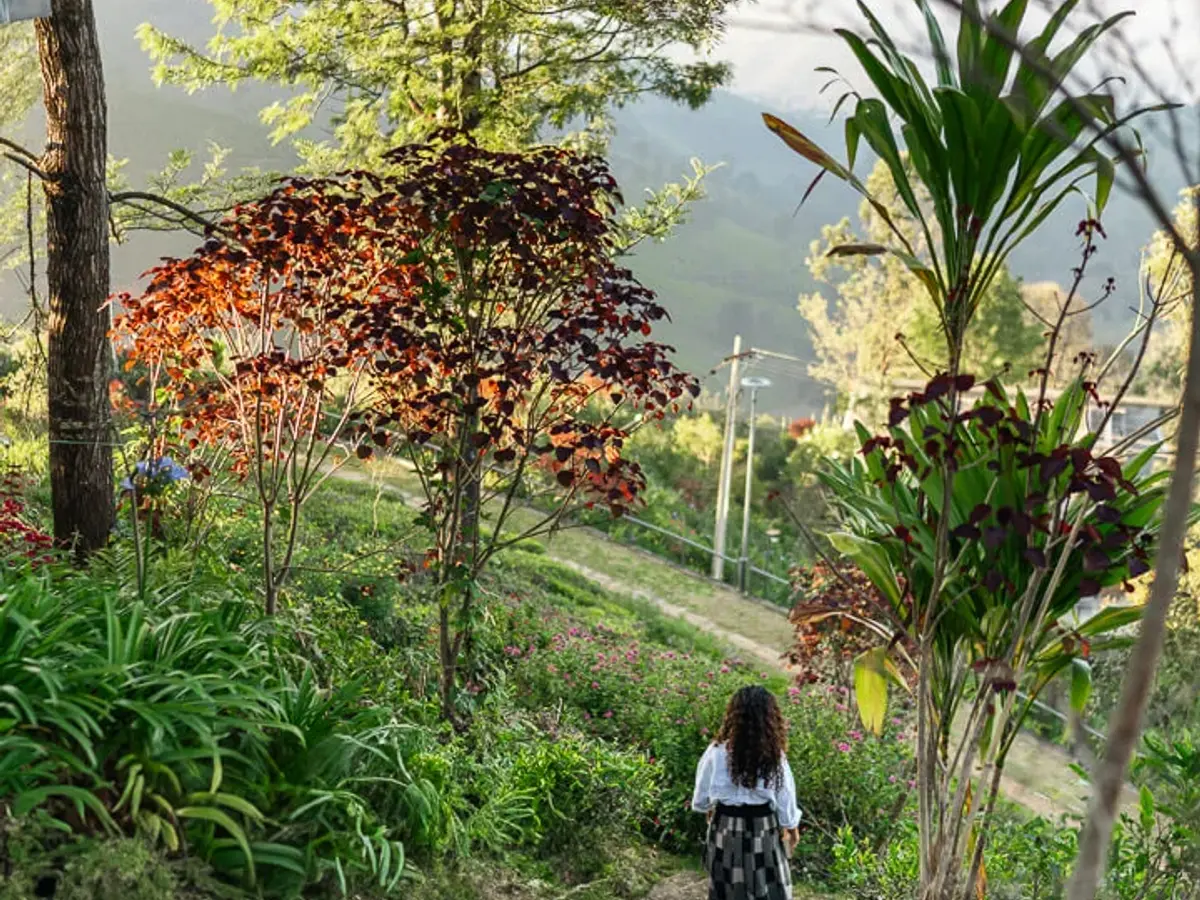 Outdoor Premises | Nature retreat with Lohono Stays