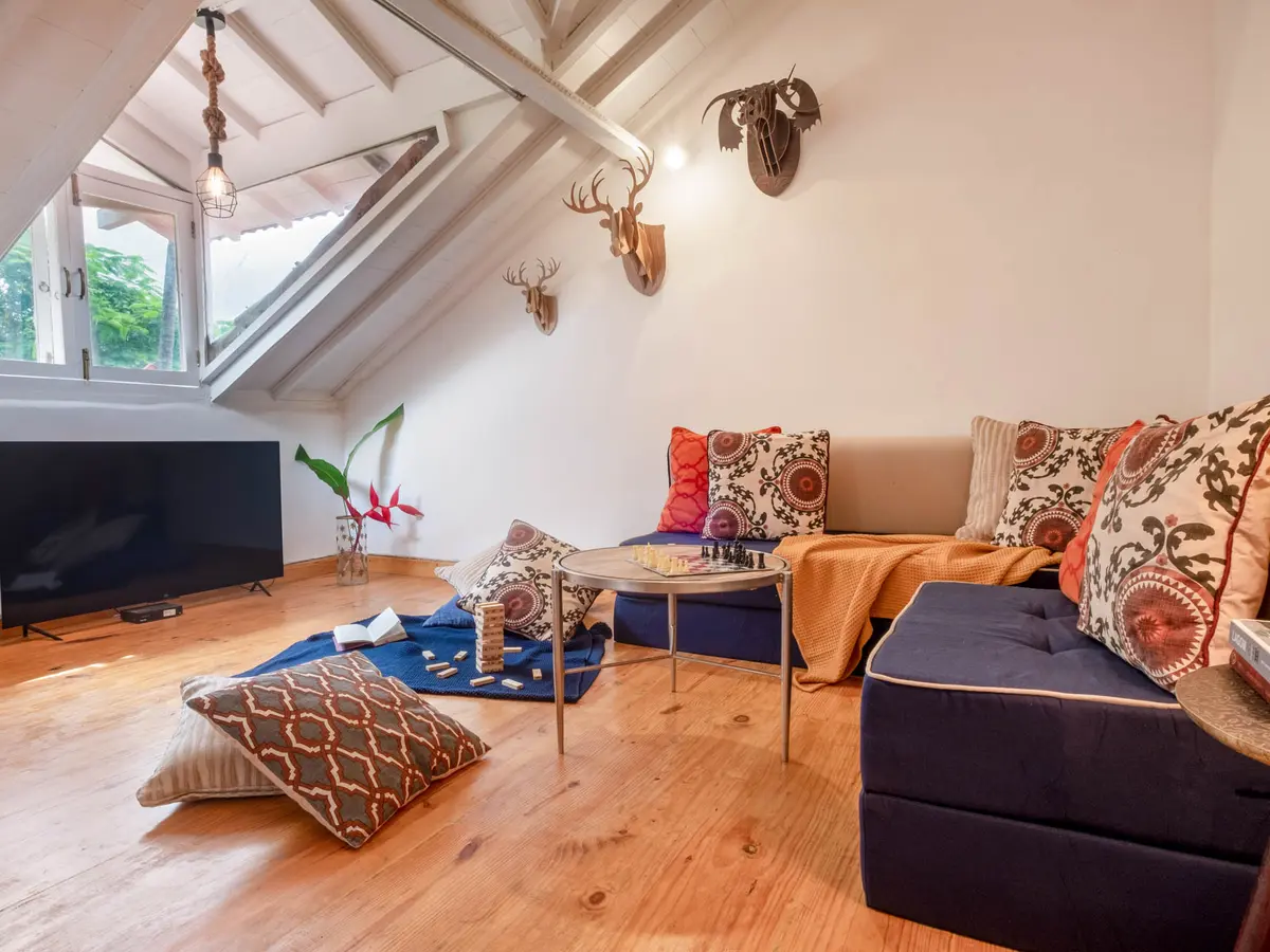 Bastora House - New Wing Attic
