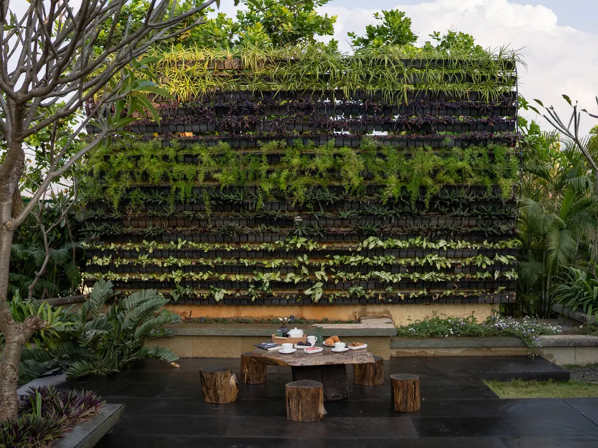Belmonte - Outdoor seating