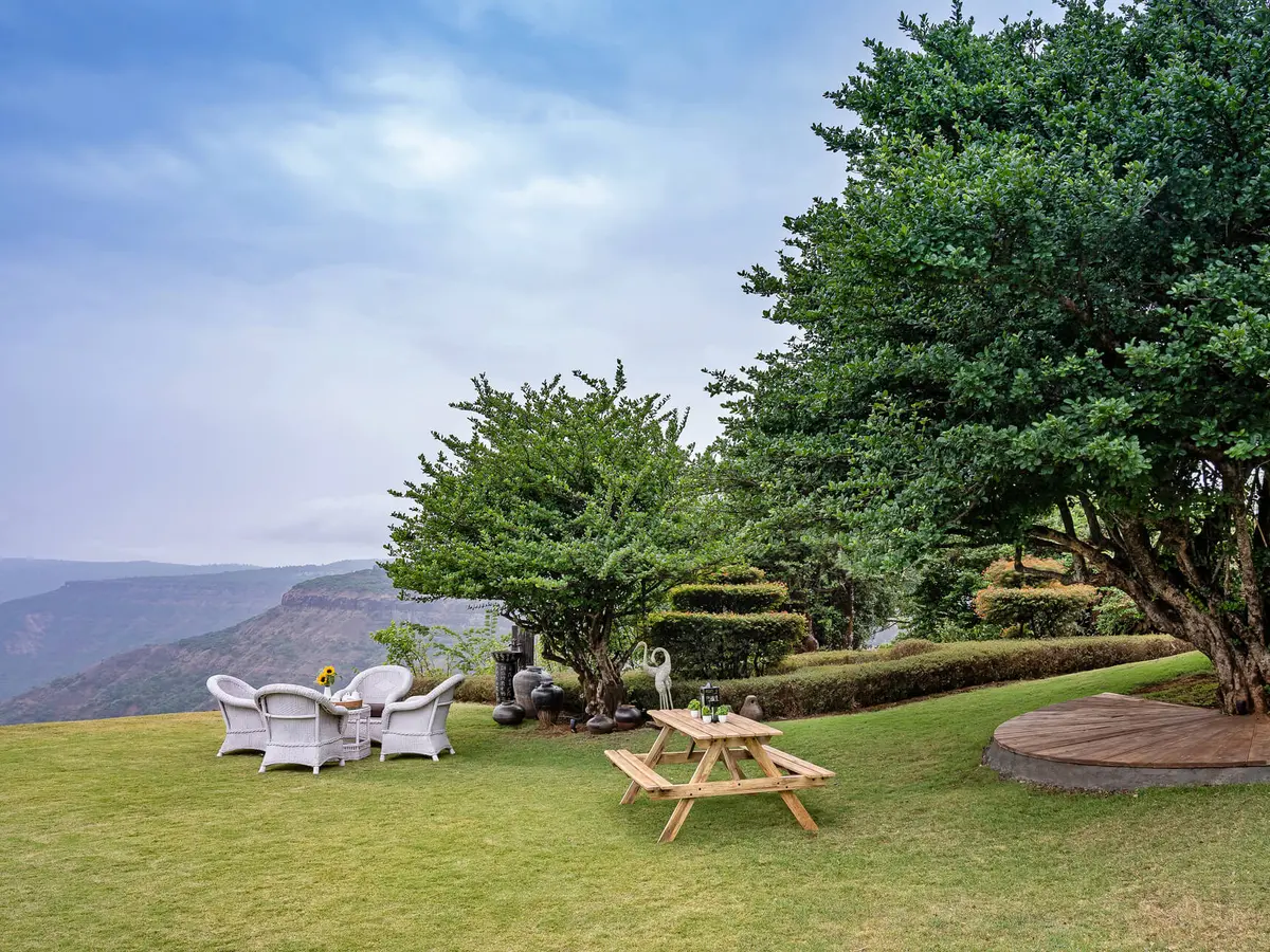 Gold Mist - Garden seating