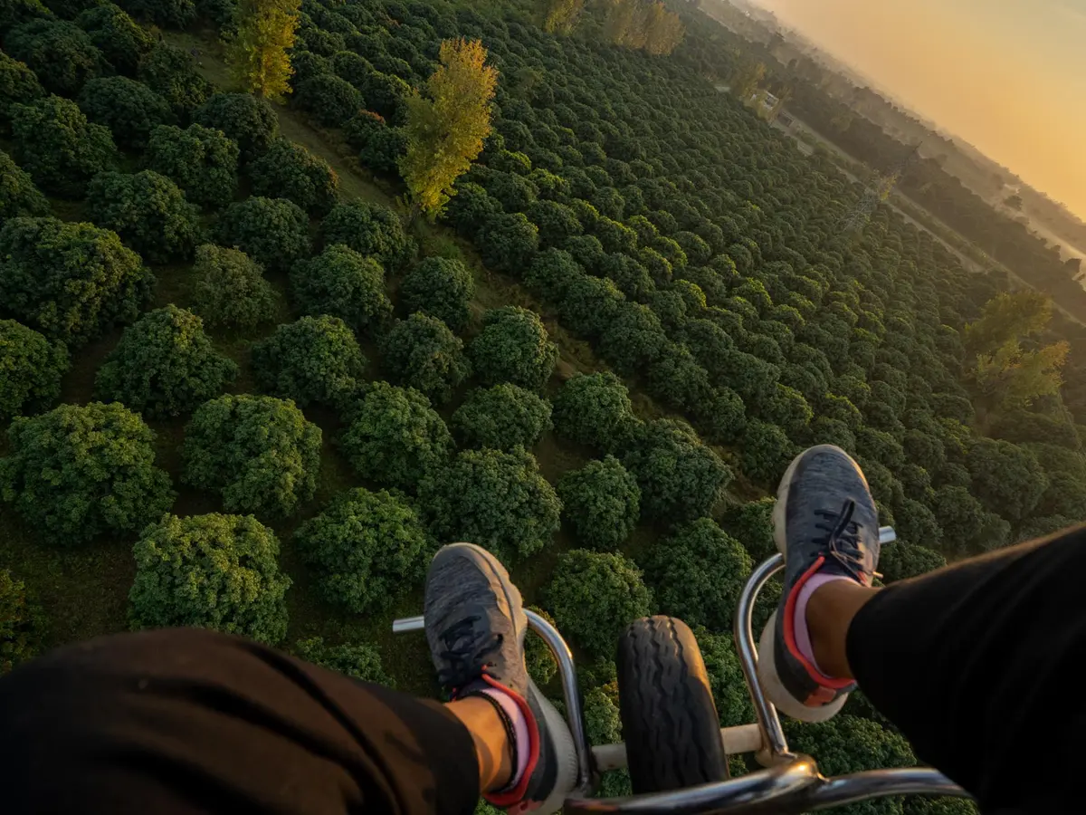 The Homestead - Paragliding view