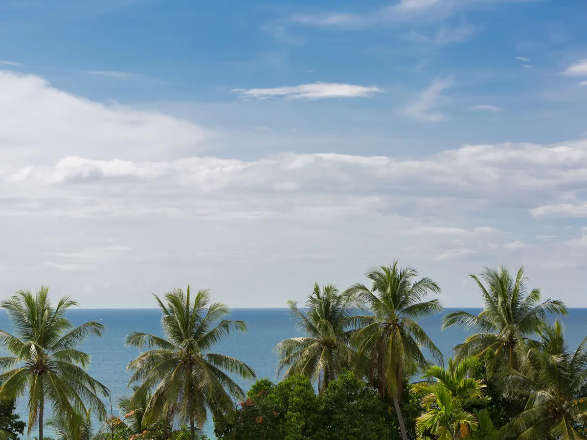 Malaiwana - Patio Duplex - Seaview