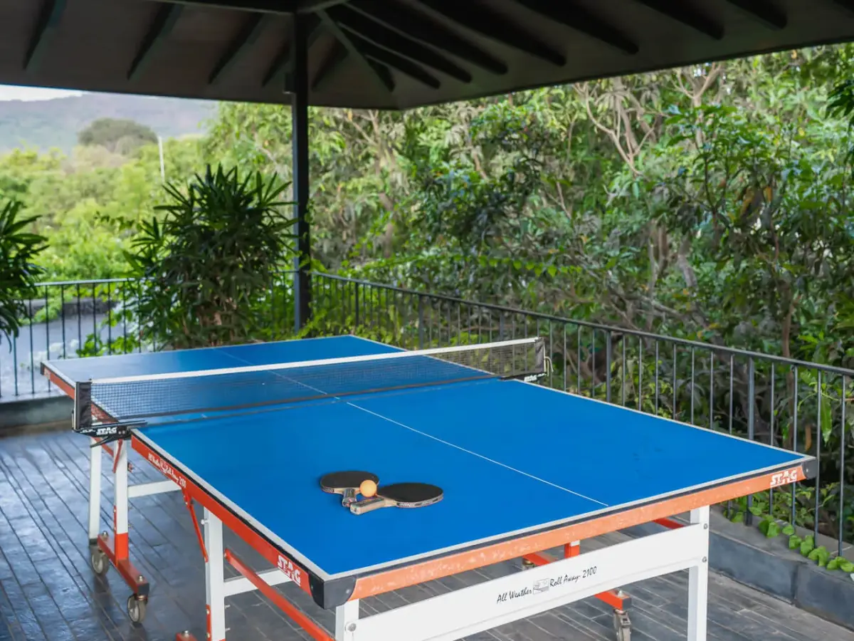 Orchard House - Table tennis