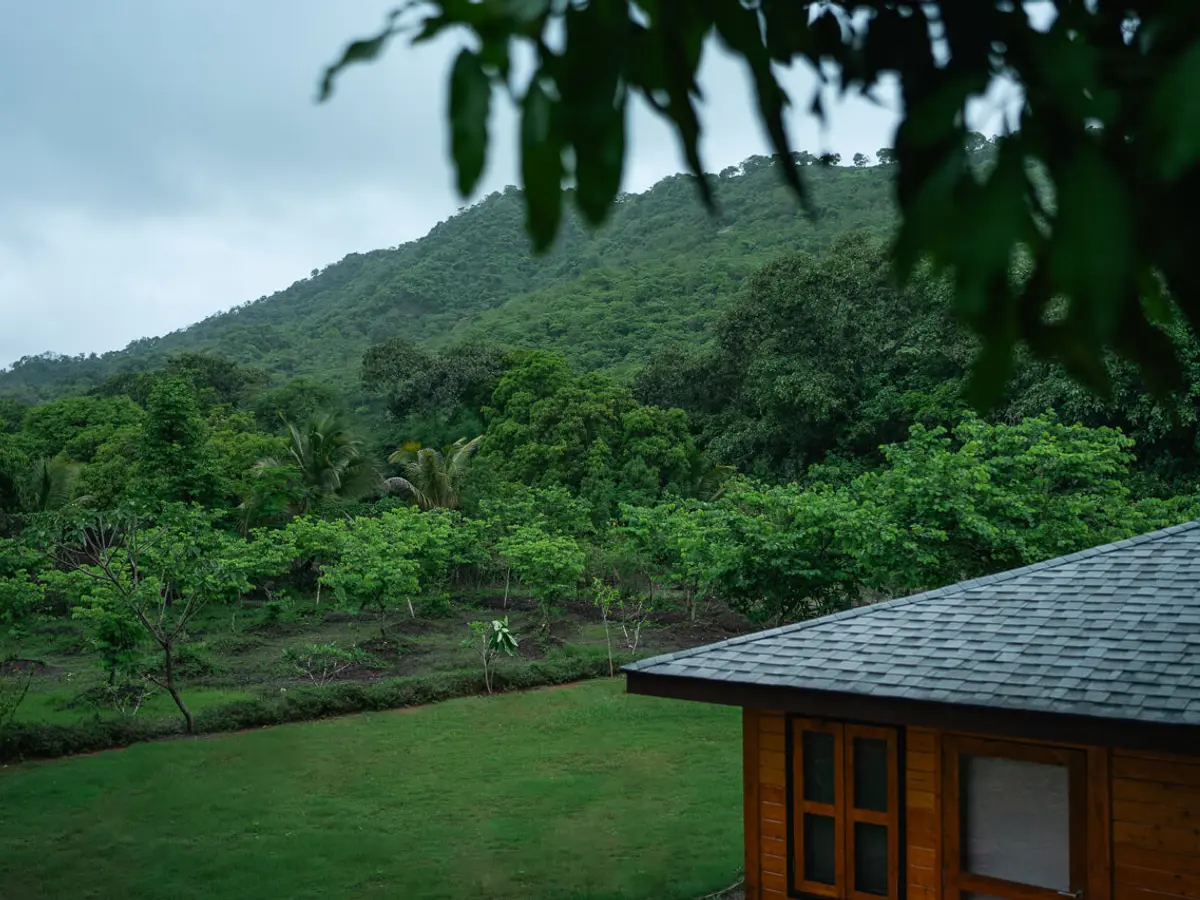 Orchard House - Out house
