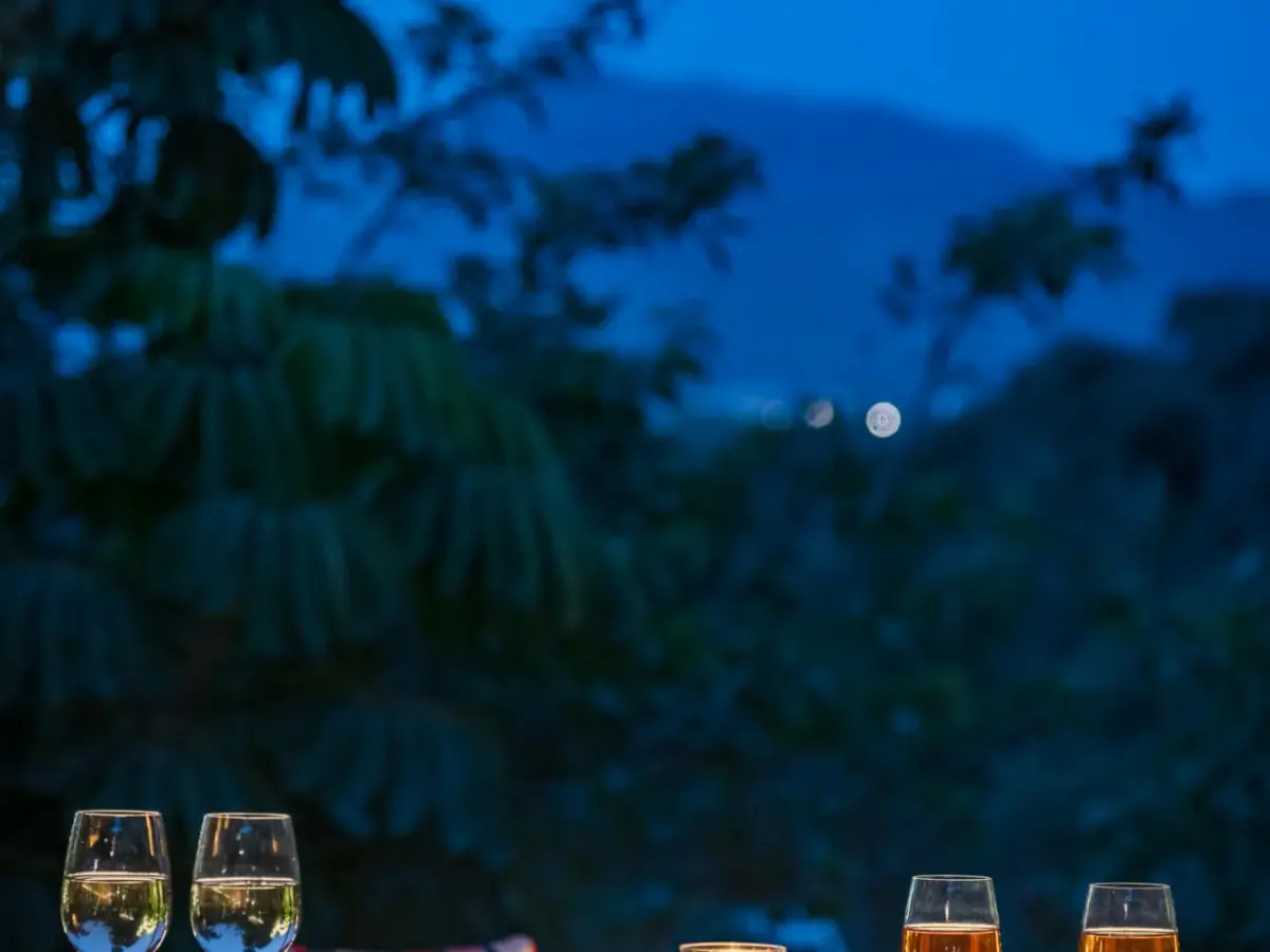 Bar Area | Rigveda Villa | Lonavala