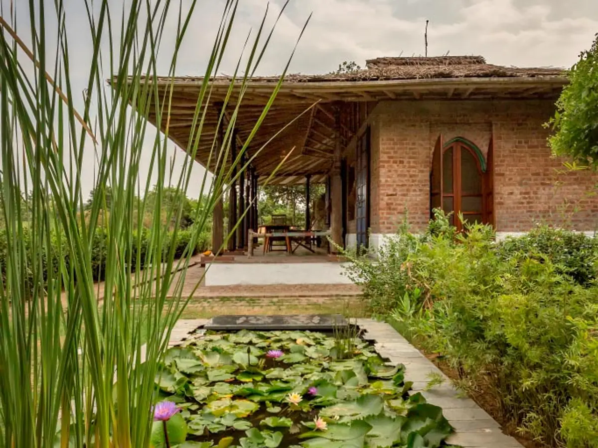 Bamboo House - Lotus Pond
