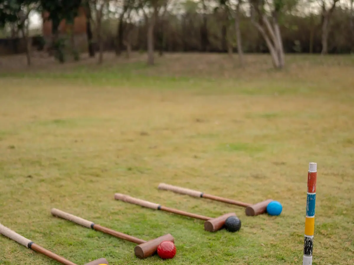 Srinivas - The Royal Residence - Polo game in Rajasthan
