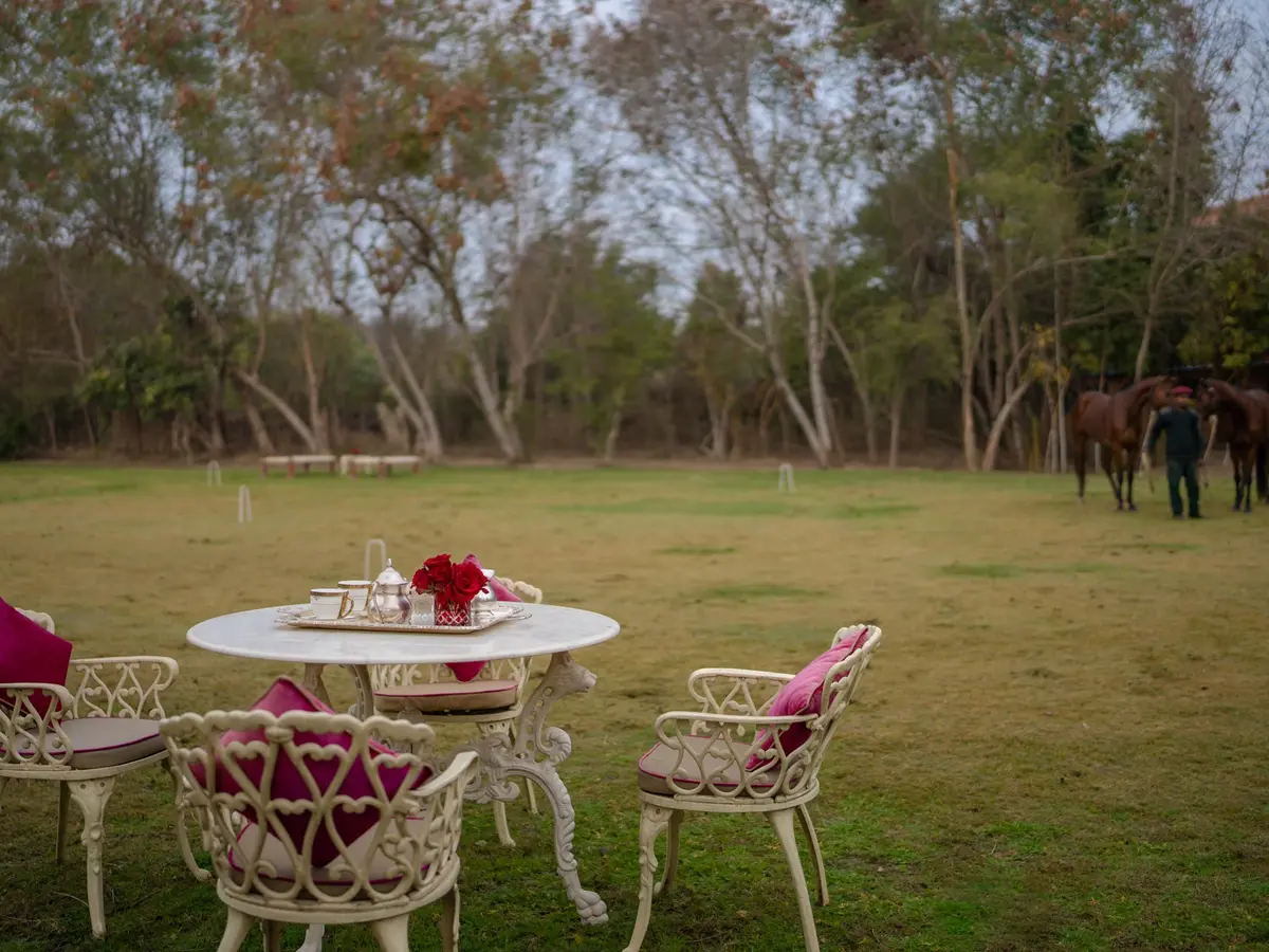 Srinivas - The Royal Residence - Sundowners in Rajasthan