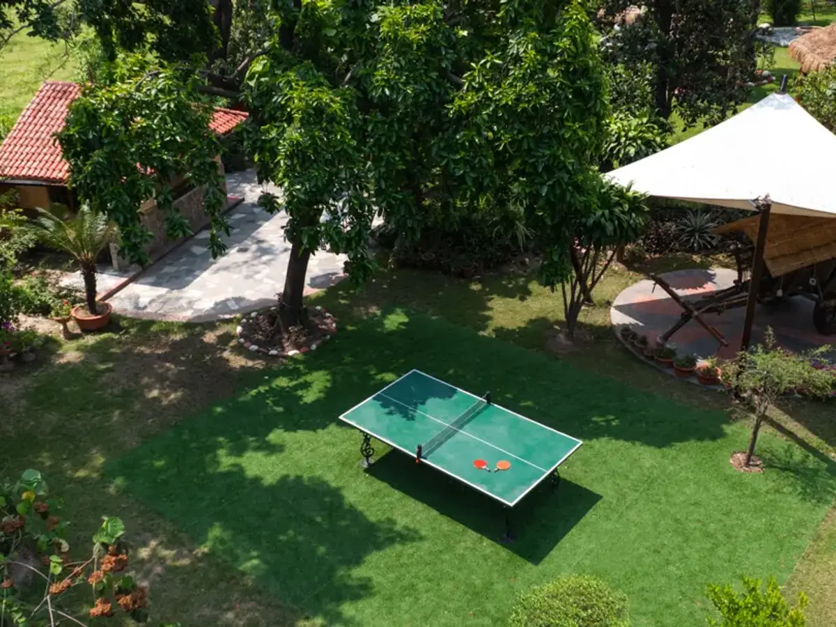 Table Tennis | The Homestead | Jim Corbett