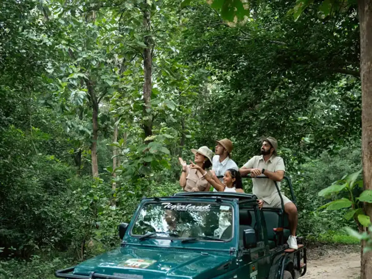 Jungle Safari | The Homestead | Jim Corbett