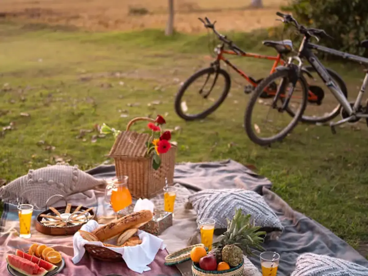Picnic Under Jamun Tree | The Homestead | Jim Corbett