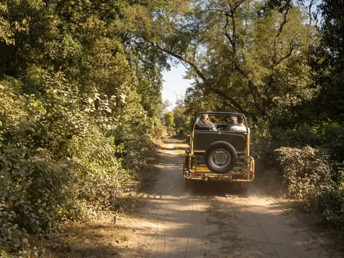 Jungle Safari | The Homestead | Jim Corbett