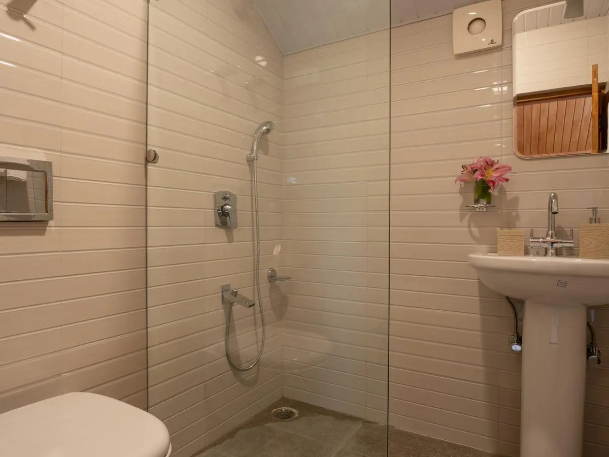 Zaznar - The White House - Rent villa in Srinagar