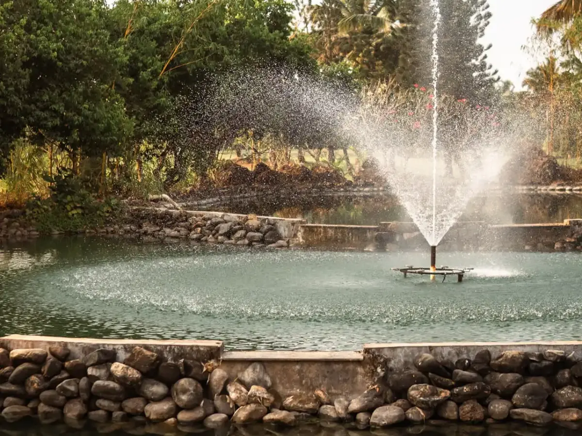Outdoor lawns | Villas in South Goa by Lohono Stays