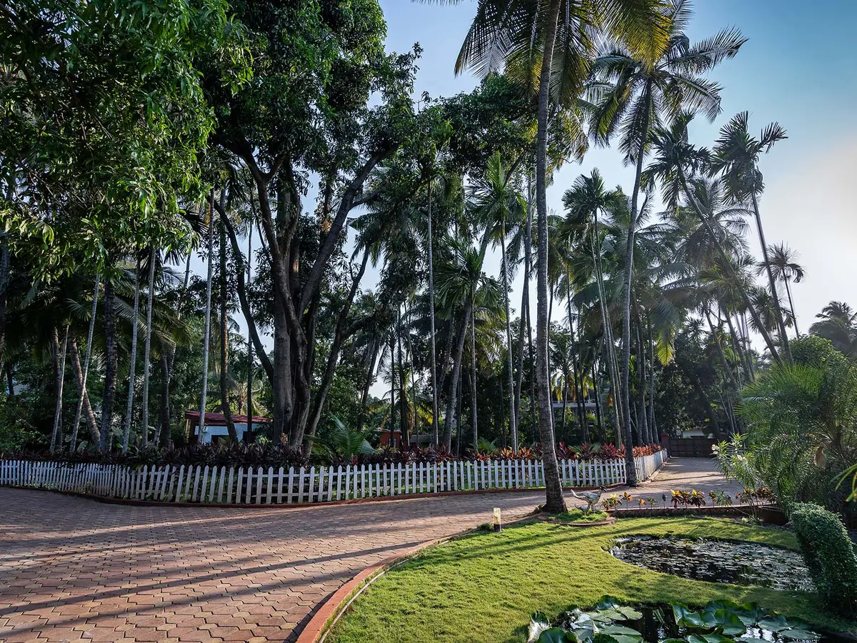 Villa Lani - Driveway