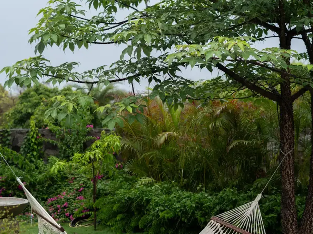 Outdoor | Whispering Dew, Alibaug