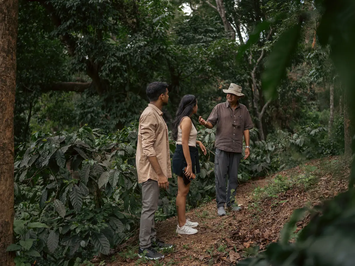 Whispering Waters Villa - plantation walk