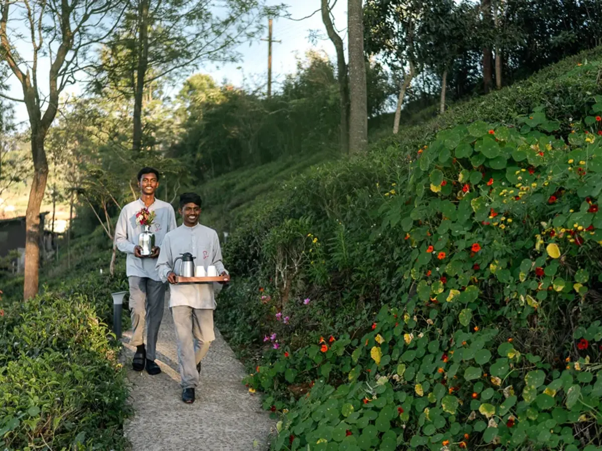 Villa Service | Villa on mountains | Villa 11A by Amani Villas