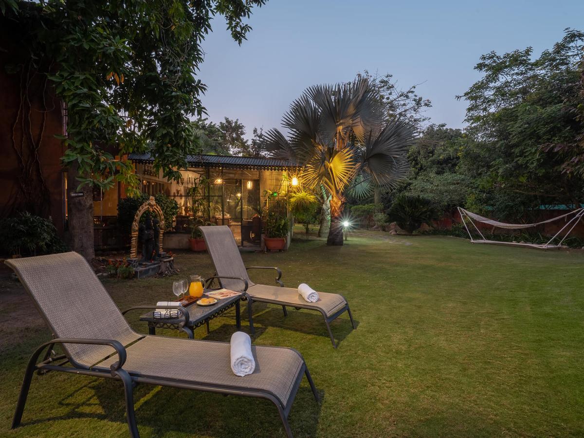 The Homestead -  Lawn area 2