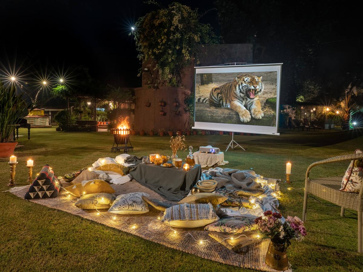The Homestead - Movie night