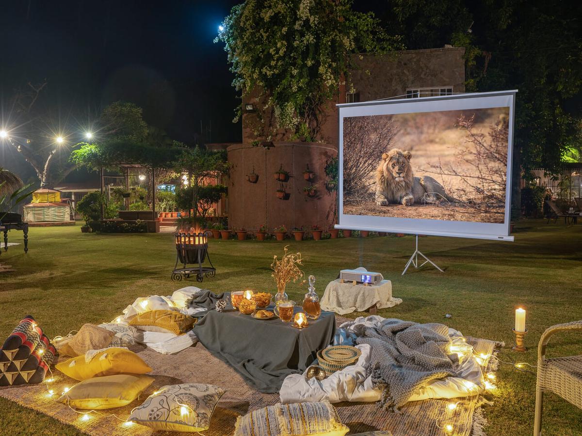 The Homestead - Movie night