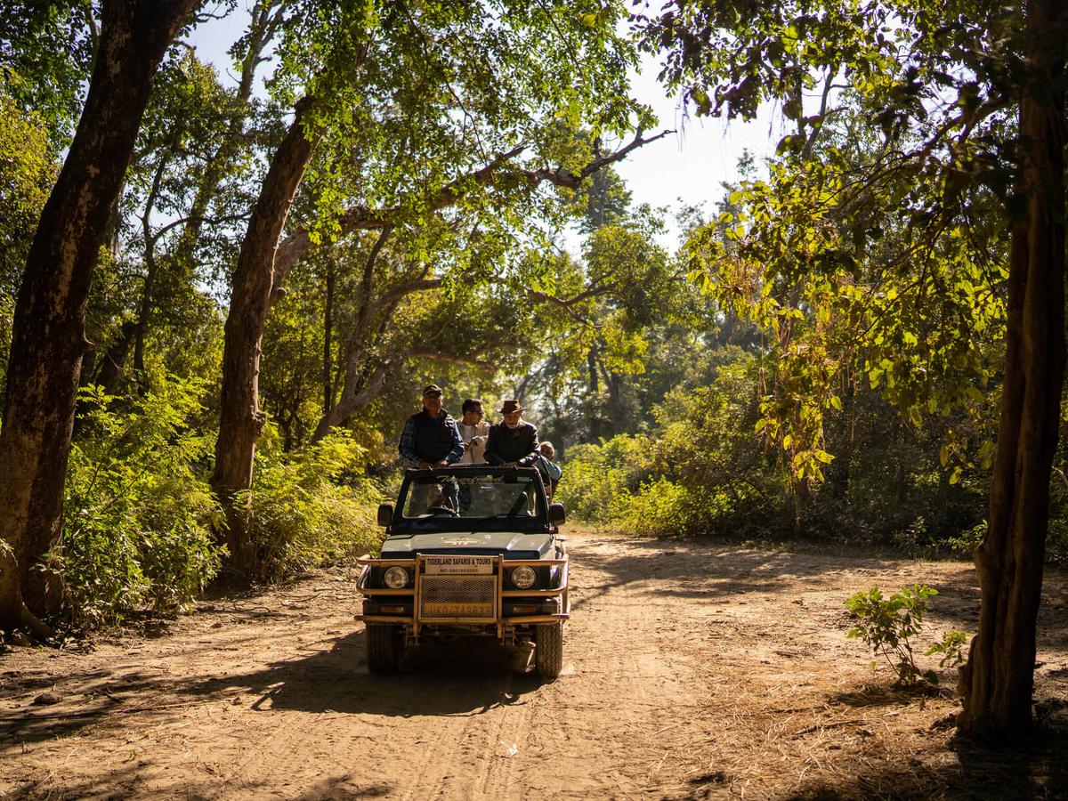 The Homestead - Jungle safari at Jim Corbett