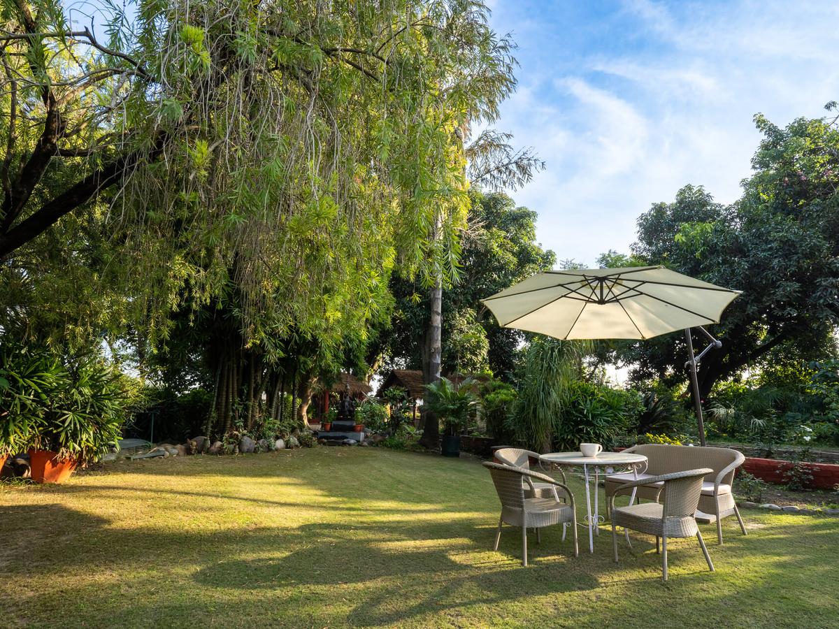 The Homestead -  Lawn area
