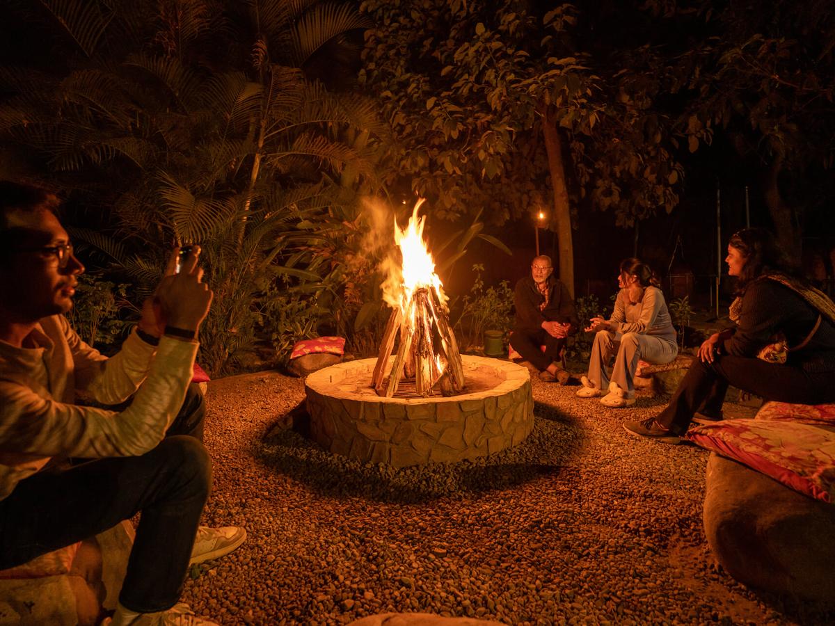 The Homestead - Bornfire