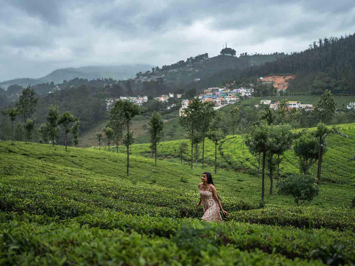 Landsdowne - Tea Plantations Area