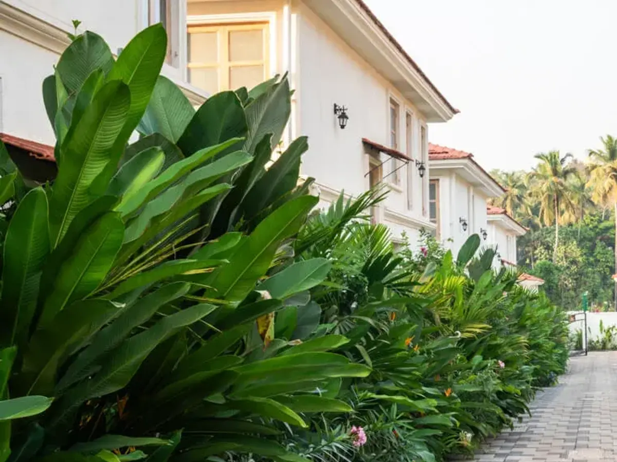 Outdoor Premises | Regato Villa D