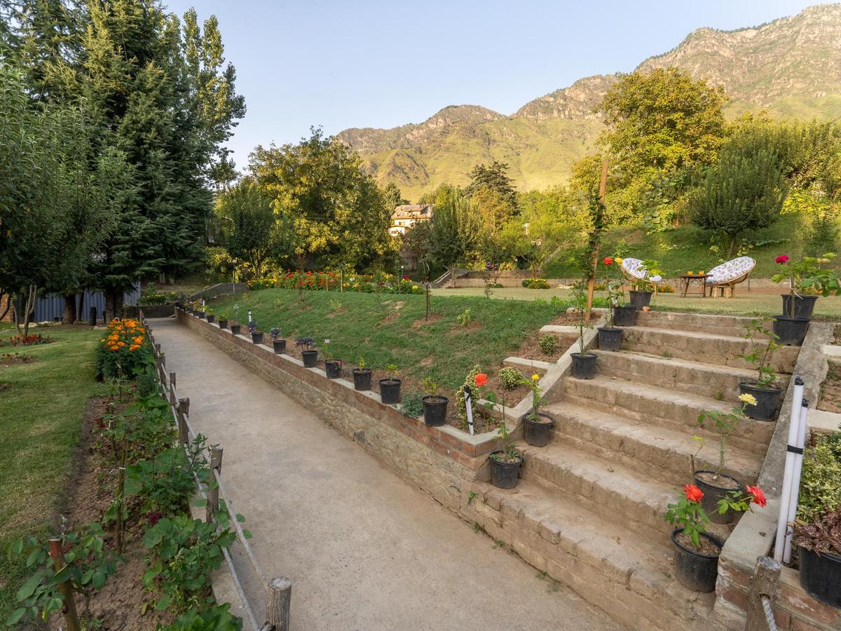 Zaznar - The White House - Garden