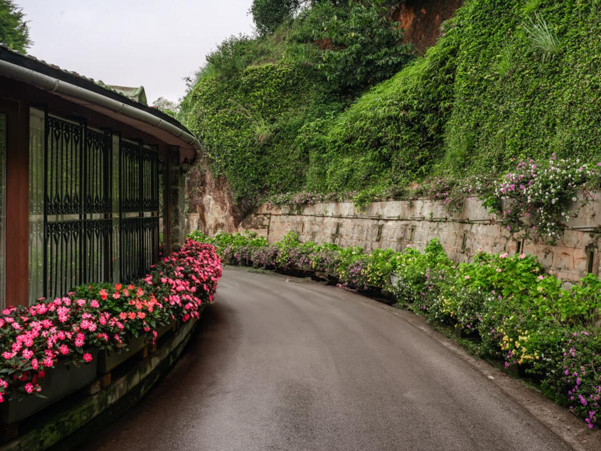 Driveway | Valora Estate, Coonoor by Lohono Stays
