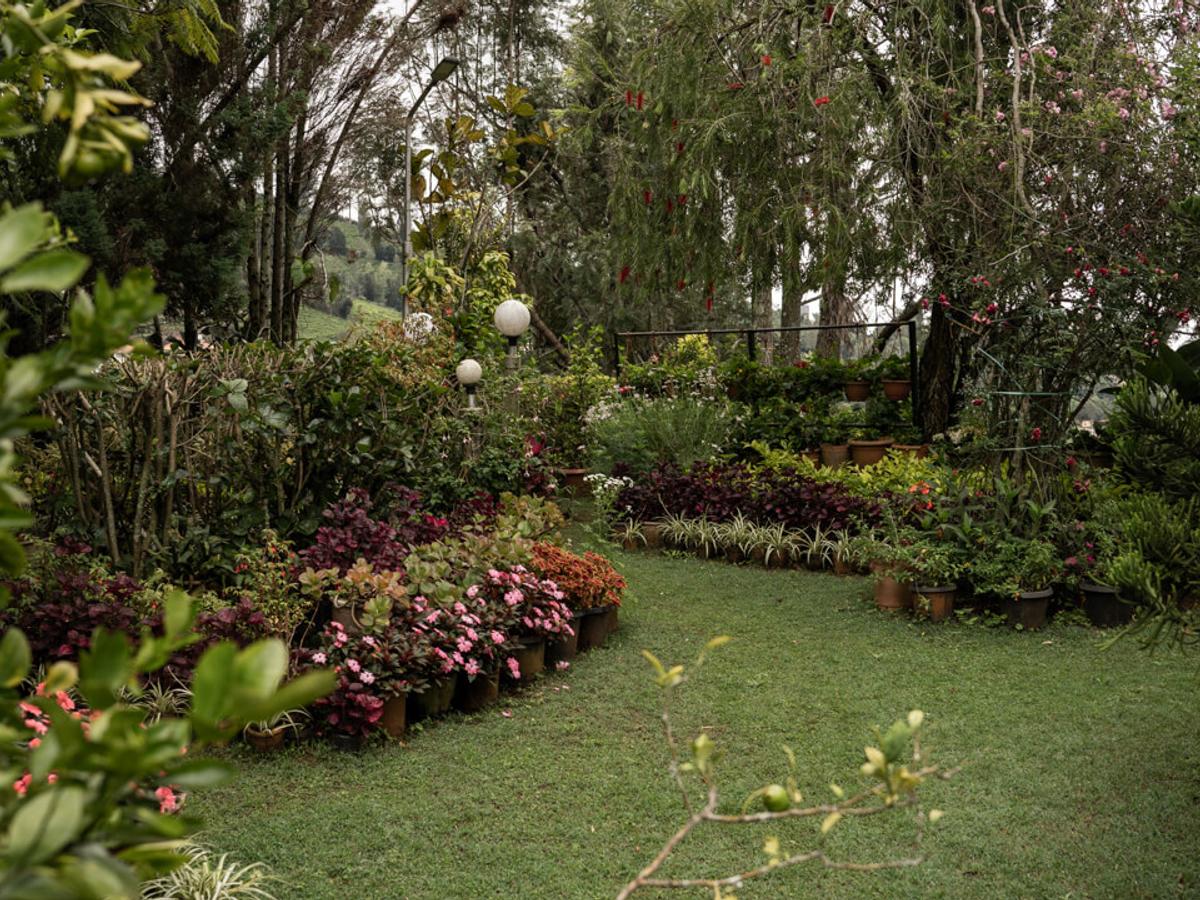 Outdoor Lawn | Valora Estate by Lohono Stays
