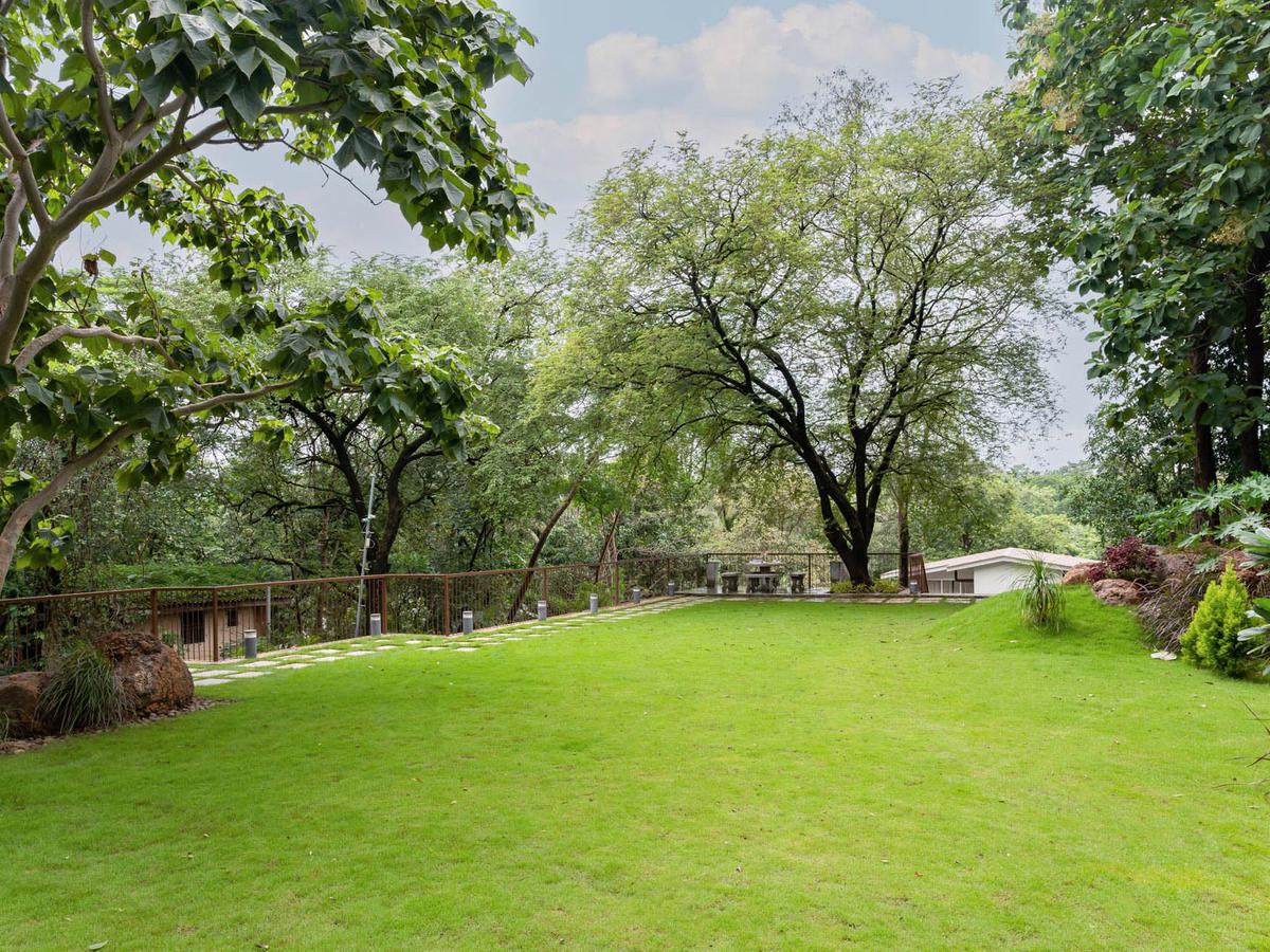 Villa Athini - Garden