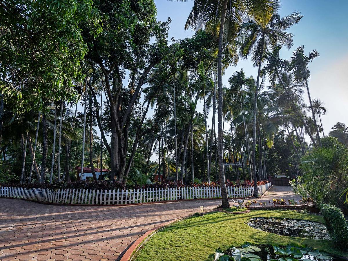 Villa Lani - Driveway