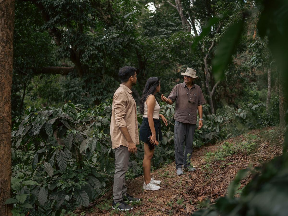 Whispering Waters Villa - plantation walk