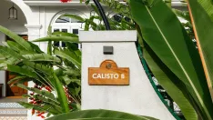 Calisto Villa B — photo 3